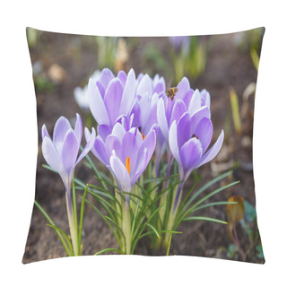 Personality  Honey Bees Collecting Pollen Pillow Covers