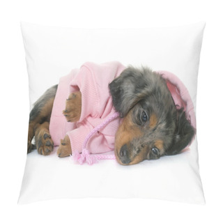Personality  Puppy Dachshund  In Studio Pillow Covers