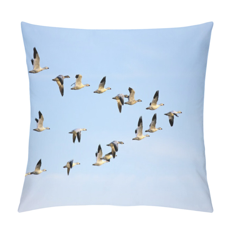 Personality  Snow Geese in Flight pillow covers