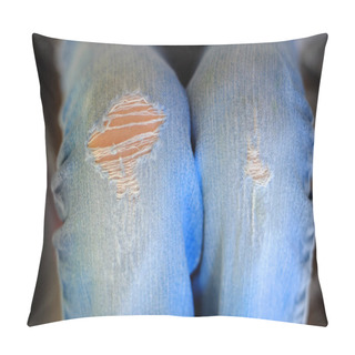 Personality  Fanishonable Denim Pants With Worn Out Knees Pillow Covers
