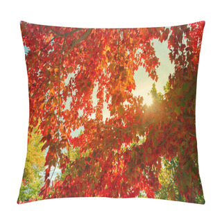 Personality  Colorful Fall Leafs Background Pillow Covers