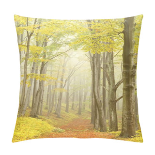 Personality  Picturesque Beech Forest Pillow Covers