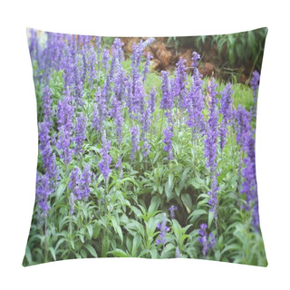 Personality  Purple Salvia Flowers Wth The Nature Pillow Covers