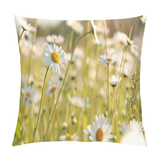 Personality  Daisies On A Spring Meadow At Dawn Pillow Covers