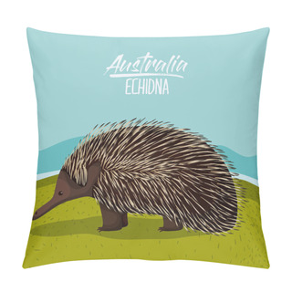 Personality  Australia Echidna Poster In Outdoor Scene On Colorful Silhouette Pillow Covers