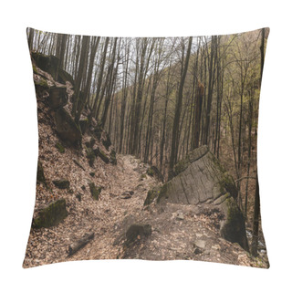 Personality  Large Stones With Dry Leaves In Mountain Forest  Pillow Covers
