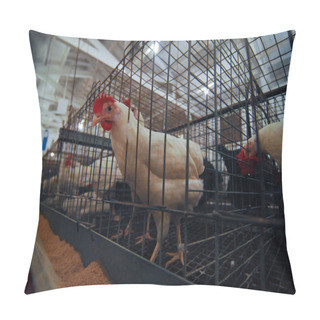 Personality  White Chickens In Sections Pillow Covers