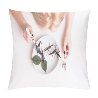 Personality  Plate Full Of Insects In Insect To Eat Restaurant Pillow Covers