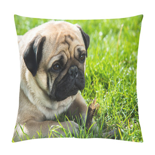 Personality  Dog Mops Pillow Covers