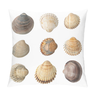 Personality  Multicolored Seashells Collection Isolated On White Background Top View. Set Of Brown, Yellow And Grey Clam Mollusc Shells Pillow Covers