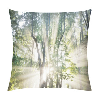 Personality  Sunbeams Flowing Through The Tree Branches And Green Leaves In A Majestic Deciduous Forest. Atmospheric Dreamlike Summer Landscape. Soft Sunlight. Pure Nature, Ecology, Symbol Of Peace Pillow Covers