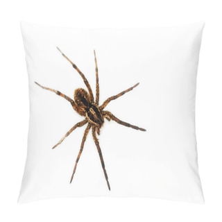 Personality  Big Hairy Spider Pillow Covers