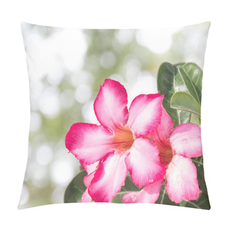 Personality  Desert Rose Pillow Covers