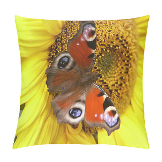Personality  Butterfly 3 Pillow Covers
