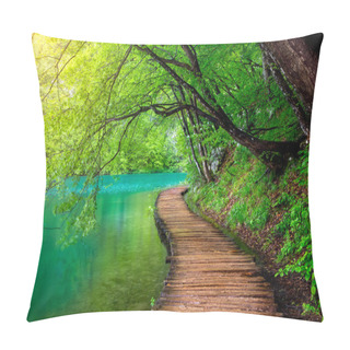 Personality  Deep Forest Stream With Crystal Clear Water In The Sunshine. Plitvice Lakes, Croatia Pillow Covers