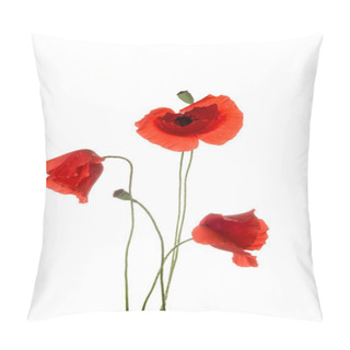 Personality  Poppy Flowers Pillow Covers