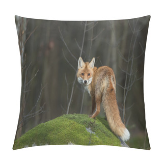Personality  Red Fox On The Mossy Rock Pillow Covers