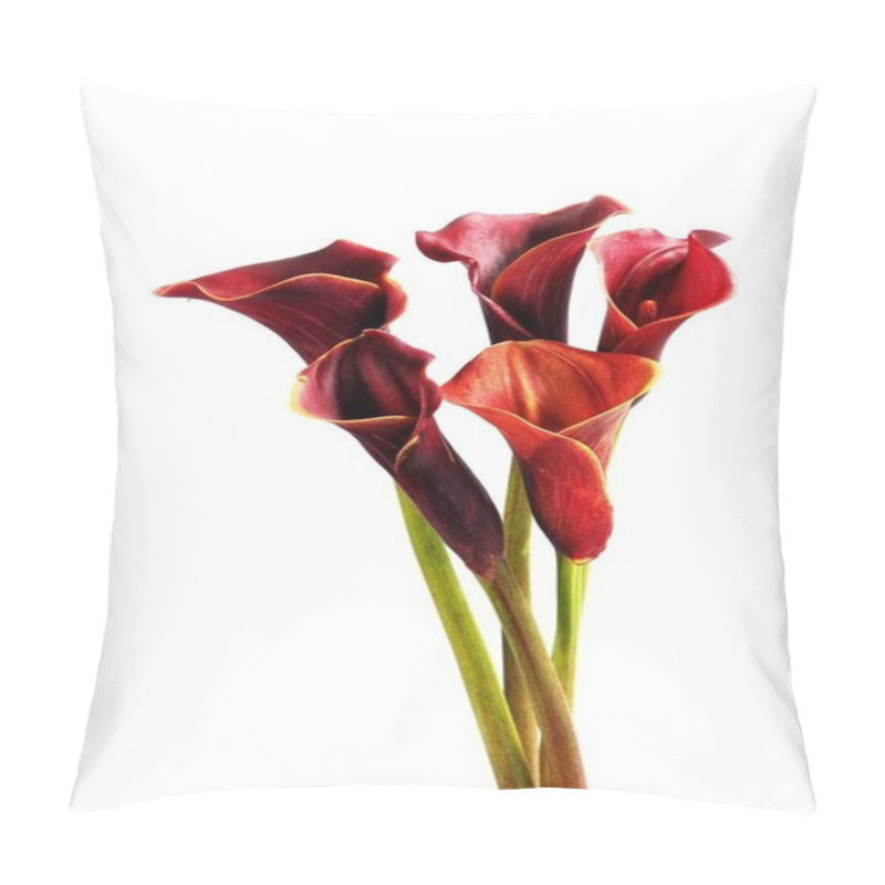 Personality  Bouquet of fresh callas, isolated on white background pillow covers
