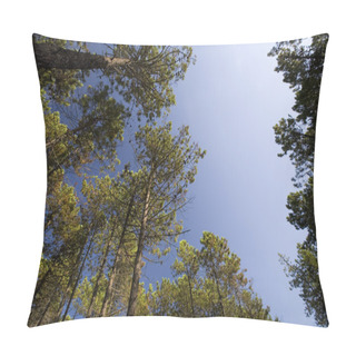 Personality  TALL PINE FOREST Pillow Covers
