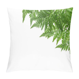 Personality  Tropical Leaves Isolated On White Background Pillow Covers