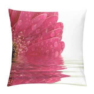 Personality  Closeup Of Pink Gerber Daisy Reflected In The Water Pillow Covers