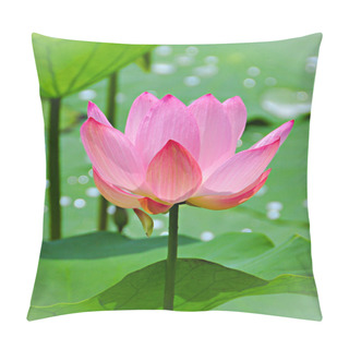 Personality  Pink Lotus Pillow Covers