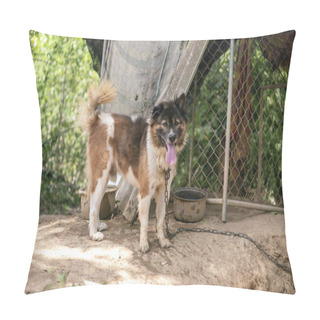 Personality  Thai Dog Bangkaew Pillow Covers