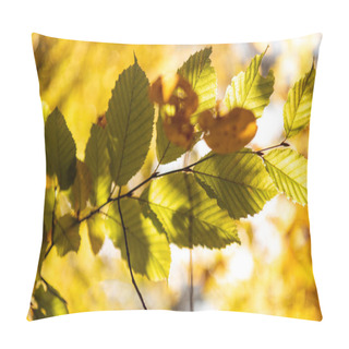 Personality  Close Up View Of Golden Foliage On Tree Branch In Sunlight Pillow Covers
