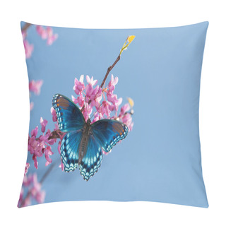 Personality  Eastern Redbud Tree Blooming, With A Red Spotted Purple Admiral Butterfly In Morning Sunlight Against Blue Sky Pillow Covers