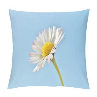 Personality  Daisy Close Up Background Copy Space Sky Pillow Covers