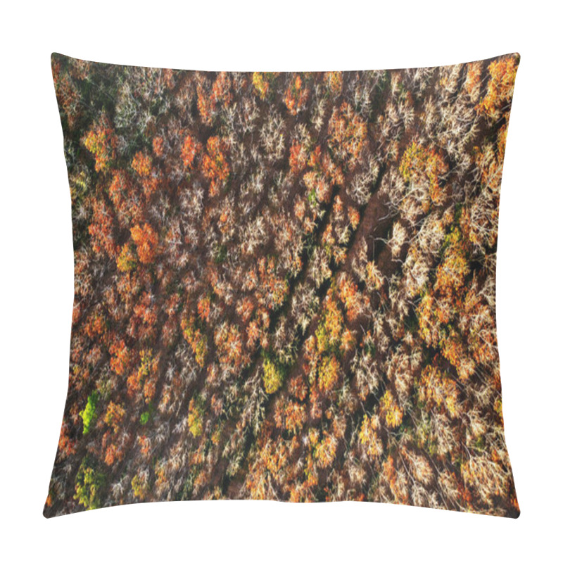 Personality  An aerial view of a rubber plantation in Thailand defoliating in summer. autumn forest in the morning pillow covers