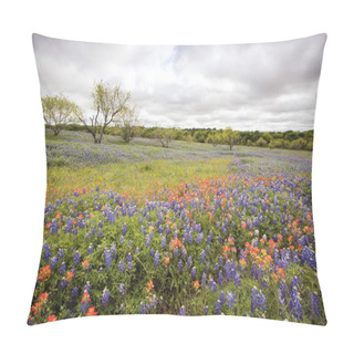 Personality  Spring Wildflowers In Texas Hill Country Pillow Covers