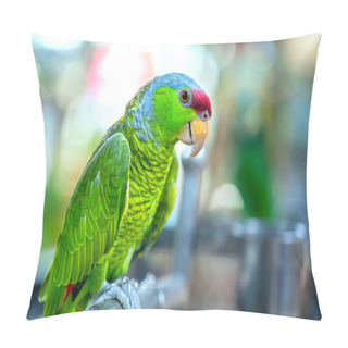 Personality  The Colorful Parrot Is Relaxing On The Fence. This Lovebird Lives In The Forest And Is Domesticated To Domestic Animals Pillow Covers