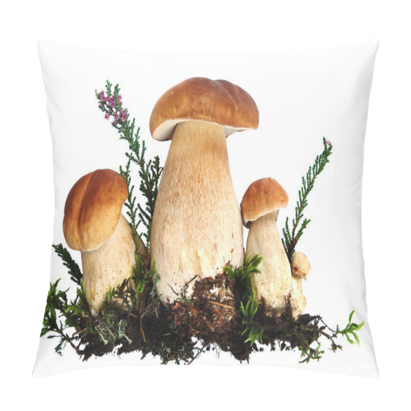 Personality  Group of forest mushrooms pillow covers