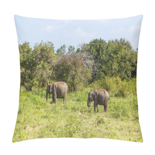 Personality  Elephants Pillow Covers