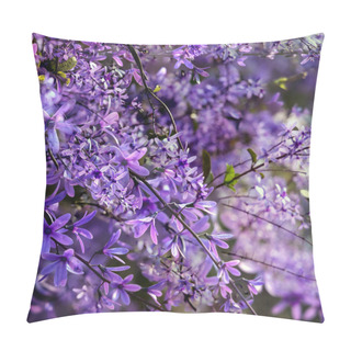 Personality  Petrea Volubilis Is Also Known As Purple Wreath, Queen's Wreath, Or Sandpaper Vine. A Flowering Evergreen That Prefers Full Sun. Pillow Covers
