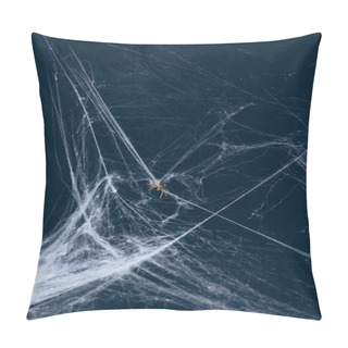 Personality  White Web And Spider In Darkness, Creepy Halloween Decor Pillow Covers