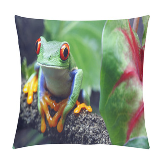 Personality  Red-Eyed Tree Frog Pillow Covers