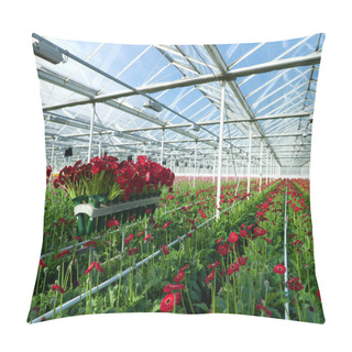 Personality  Flowers In Greenhouse Pillow Covers