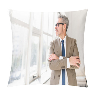 Personality  The Cheerful Mature Grey-haired Businessman Looks Off Into The Distance, Arms Crossed, Standing In A Sunny Office, Confident Male Manager In Stylish Eyewear And Professional Attire Pillow Covers