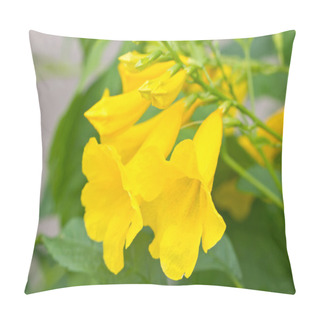 Personality  Yellow Bells, Or Trumpet Vine Flowers. Pillow Covers
