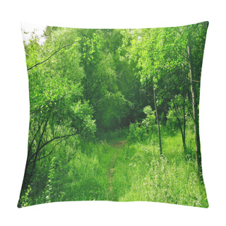 Personality  Spring Forest In The Sunny Afternoon Pillow Covers