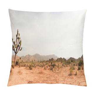 Personality  Panorama Landscape Of Joshua Tree National Park, USA. Pillow Covers
