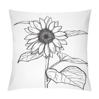 Personality  Sketch Sunflower (Helianthus) Pillow Covers