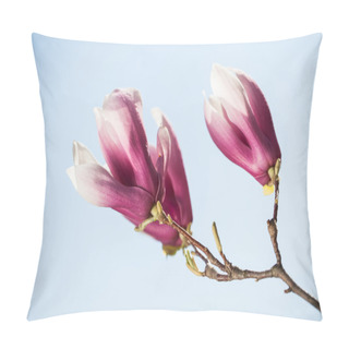 Personality  Magnolia Flowers On Blue Sky Background. Shallow DOF Pillow Covers