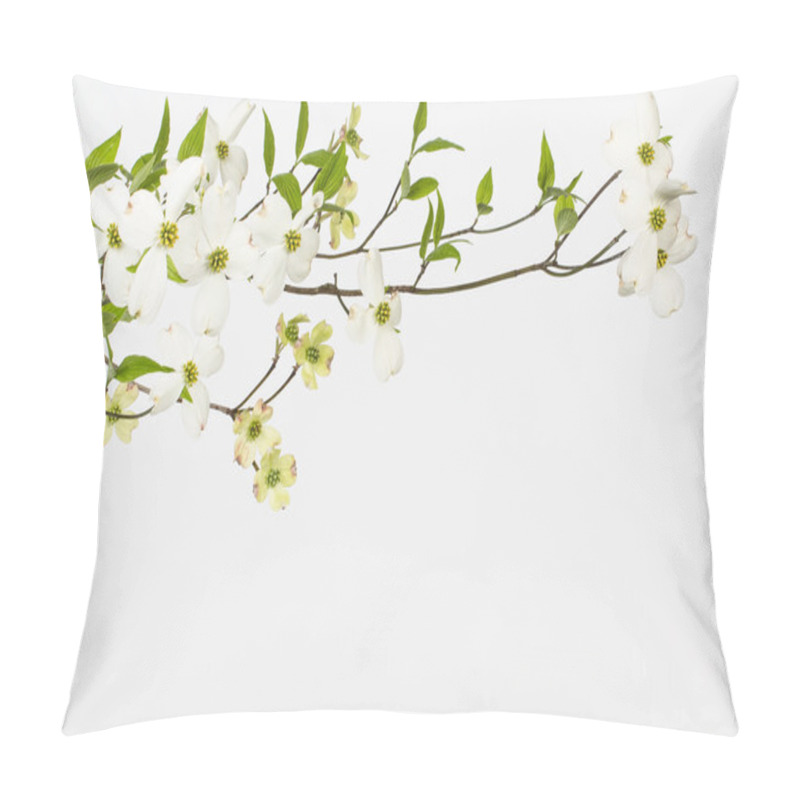 Personality  Wild flowering white dogwoods pillow covers