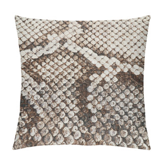 Personality  Snake Skin Pillow Covers