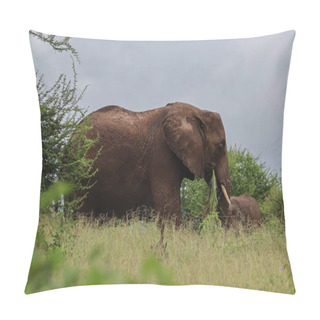 Personality  Elephant Eating Green Grass In Savanna  Pillow Covers