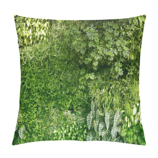 Personality  Wall With Tropical Plants. Climbing Plants. Nature Green Backgro Pillow Covers