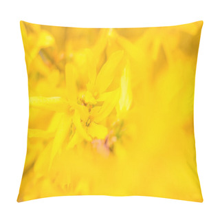 Personality  Abstract Blurred Floral Background. Full Blooming And First Leafs Of Forest Tree. Spring, Feast, Celebration And Beautiful Flower Decoration Concept. Closeup With Soft Selective Focus. Toned Pillow Covers